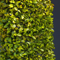 UV-treated artificial plants dress-up commercial building facade... poplet image 6