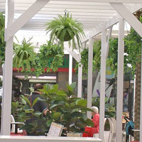 Cafe in Mall is a green oasis... poplet image 9