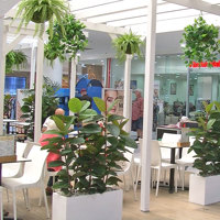 Cafe in Mall is a green oasis... poplet image 4
