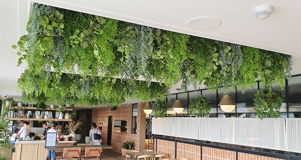 trailing greenery from ceiling voids