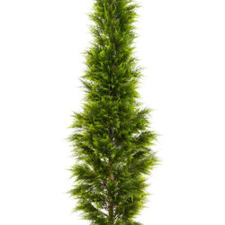 Cypress Pine [indoor] 1.8m - artificial plants, flowers & trees - image 8