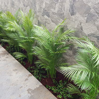 Planting artificial plants straight into the garden outdoors!!! poplet image 8