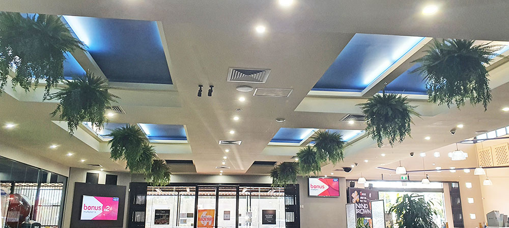 rows of baskets in club restaurant