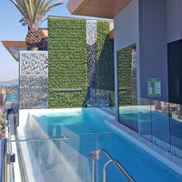 Artificial Green Wall above Penthouse Pool- tricky install! poplet image 8