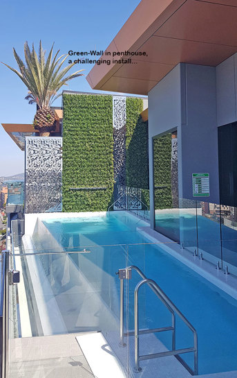 Artificial Green Wall above Penthouse Pool- tricky install!