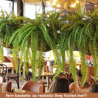 Hanging Fern Baskets in cool Cafe poplet image 2