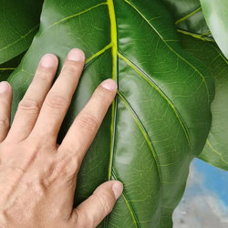 Fiddle-Leaf Ficus 'giant-leaf' 1.6m - artificial plants, flowers & trees - image 1