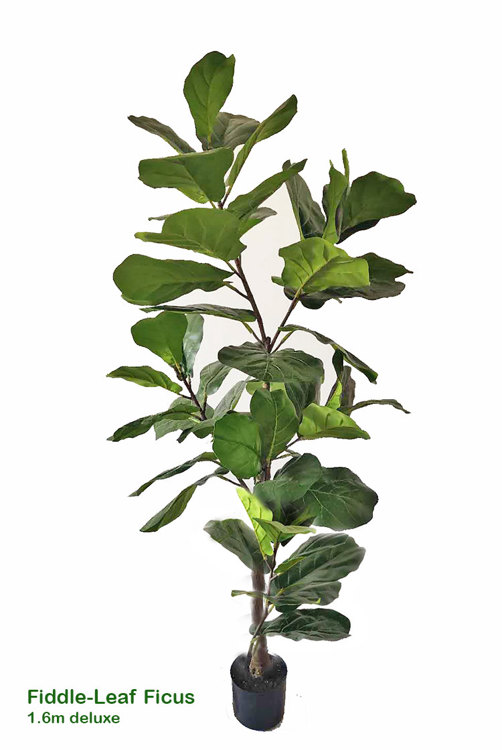 Articial Plants - Fiddle-Leaf Ficus 1..6m deluxe