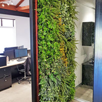 Artificial Green Wall for modern open-plan office... poplet image 3