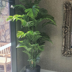 Golden Cane Palm 2.4m - artificial plants, flowers & trees - image 1