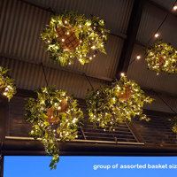 Hanging-Baskets with lights brighten up marina restaurant... poplet image 2