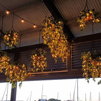 Hanging-Baskets with lights brighten up marina restaurant... poplet image 6