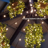 Hanging-Baskets with lights brighten up marina restaurant... poplet image 7