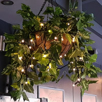 Hanging-Baskets with lights brighten up marina restaurant... poplet image 4
