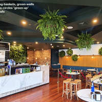 Latest Green-Accents for inner-city Cafe... poplet image 2