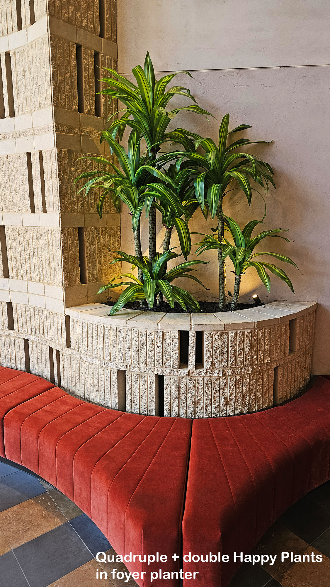 Happy Plants make stunning foyer feature