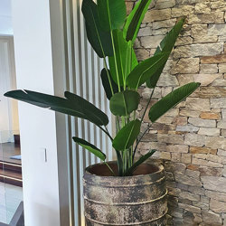 Heliconia Palms- 2.1m - artificial plants, flowers & trees - image 8