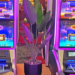 Heliconia Palms- 1.2m - artificial plants, flowers & trees - image 7
