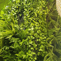 Moss/Green-Wall fusion is the latest direction... poplet image 7