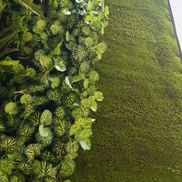 Moss/Green-Wall fusion is the latest direction... poplet image 5