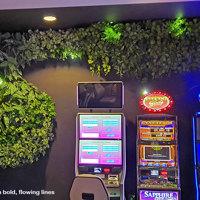 Flowing Green-Wall design for Gaming Rooms... poplet image 3