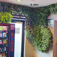 Flowing Green-Wall design for Gaming Rooms... poplet image 5