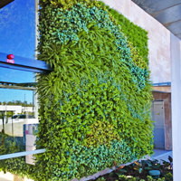Artificial Green Wall flows seamlessly from outdoors into club foyer poplet image 2