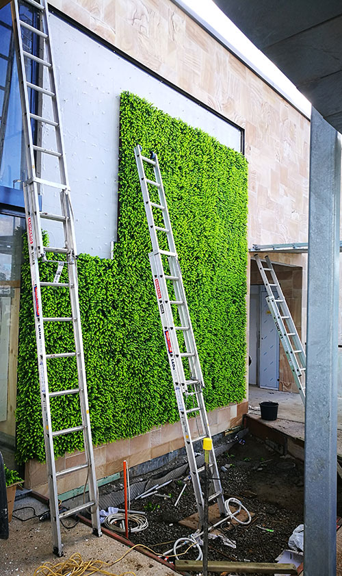 Artificial Green Wall flows seamlessly from outdoors into club foyer image 9