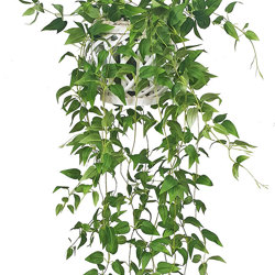 Hanging Cane Lantern- trailing Tea-Leaf- sml - artificial plants, flowers & trees - image 10
