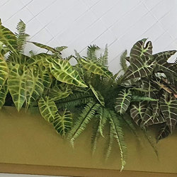 Alocasia bronze tiger 75cm  - artificial plants, flowers & trees - image 3