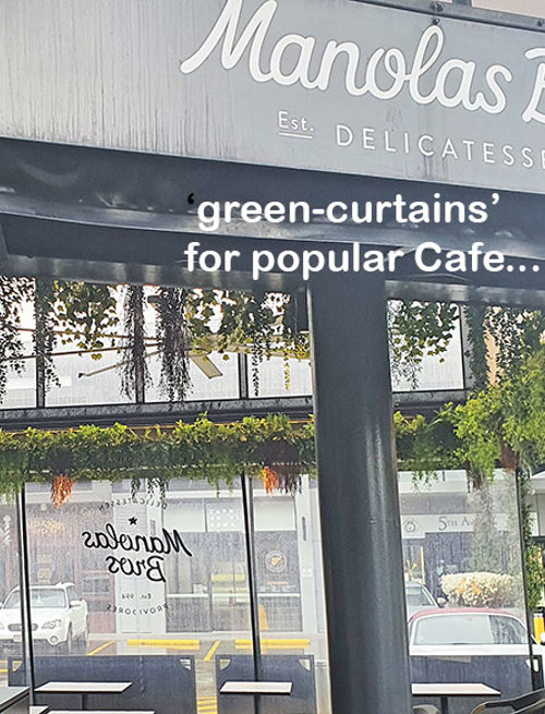 Breezy 'green-curtain' for popular Cafe...