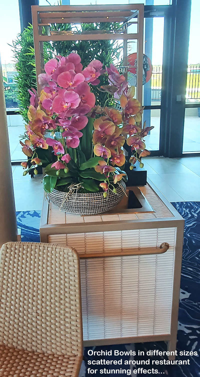 restaurant orchids in basket