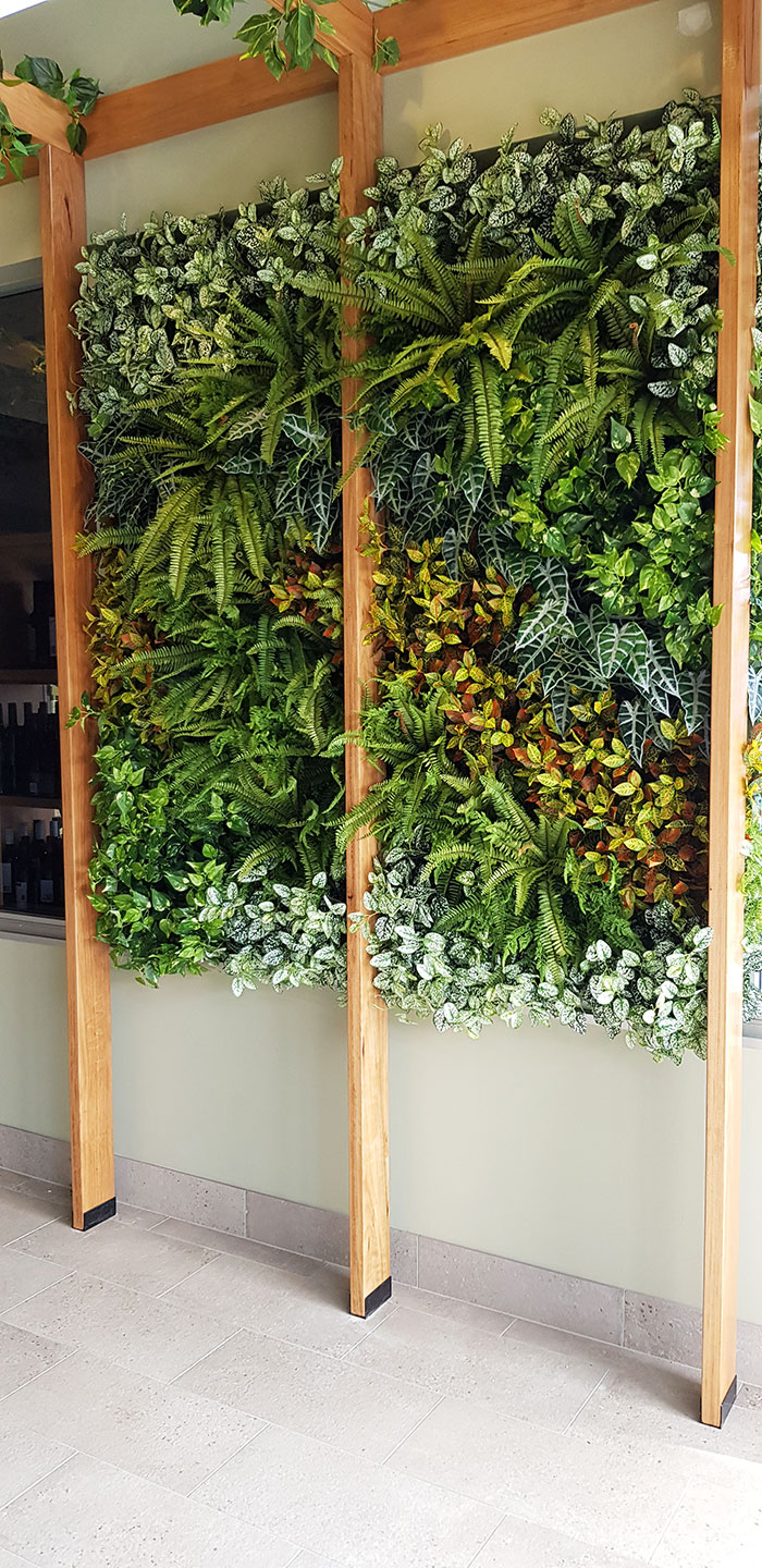Before & After Shots..... Green-Walls 3