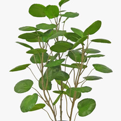 Money Plant 80cm - artificial plants, flowers & trees - image 4