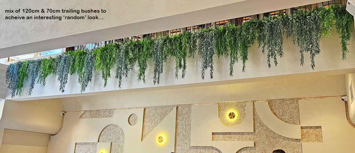 UV-Trailer: Staghorn Fern 120cm