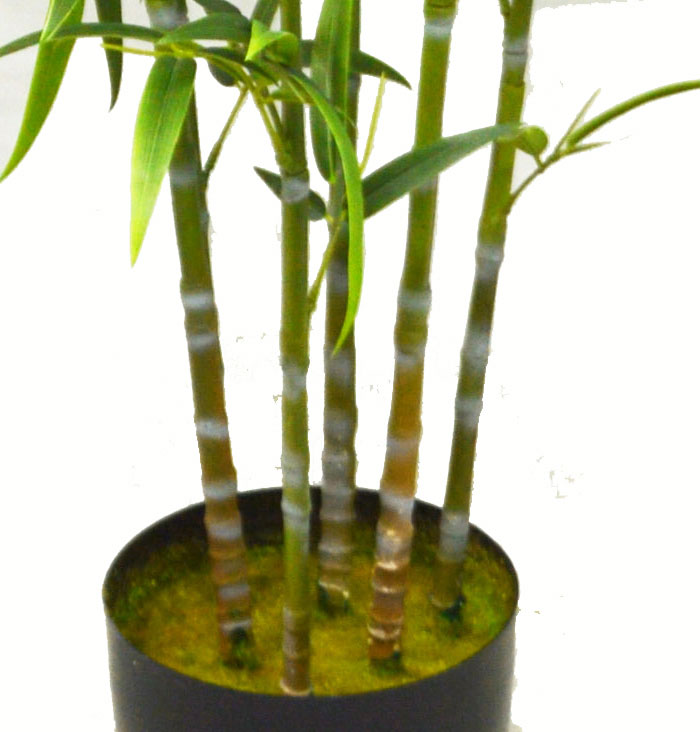Bali Bamboo 1.6m