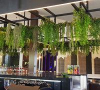 Contempo Bar in new Tavern gets 'finishing green-touch'...