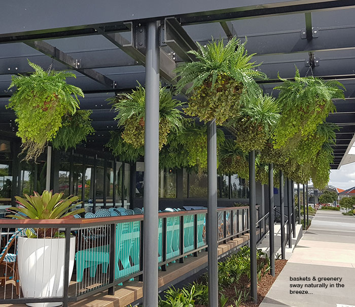 Hanging-Baskets transform new Tavern balcony from drab to cool green...