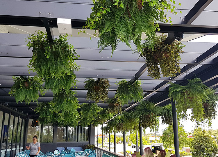 Hanging-Baskets transform new Tavern balcony from drab to cool green...
