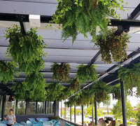 Hanging-Baskets transform new Tavern balcony from drab to cool green...