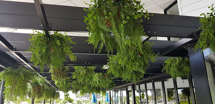 Hanging-Baskets transform new Tavern balcony from drab to cool green...