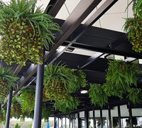 Hanging-Baskets transform new Tavern balcony from drab to cool green...