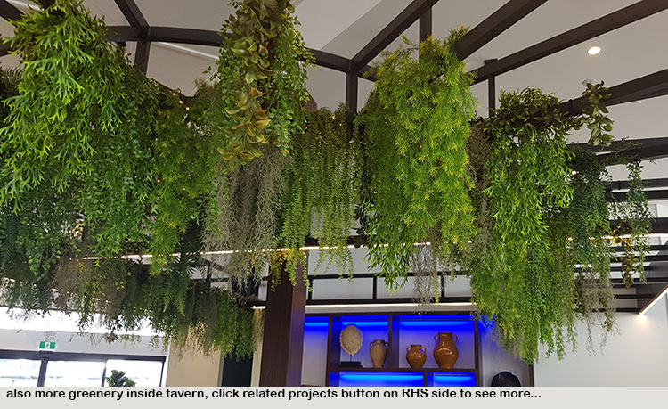 Hanging-Baskets transform new Tavern balcony from drab to cool green...