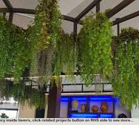 Hanging-Baskets transform new Tavern balcony from drab to cool green...