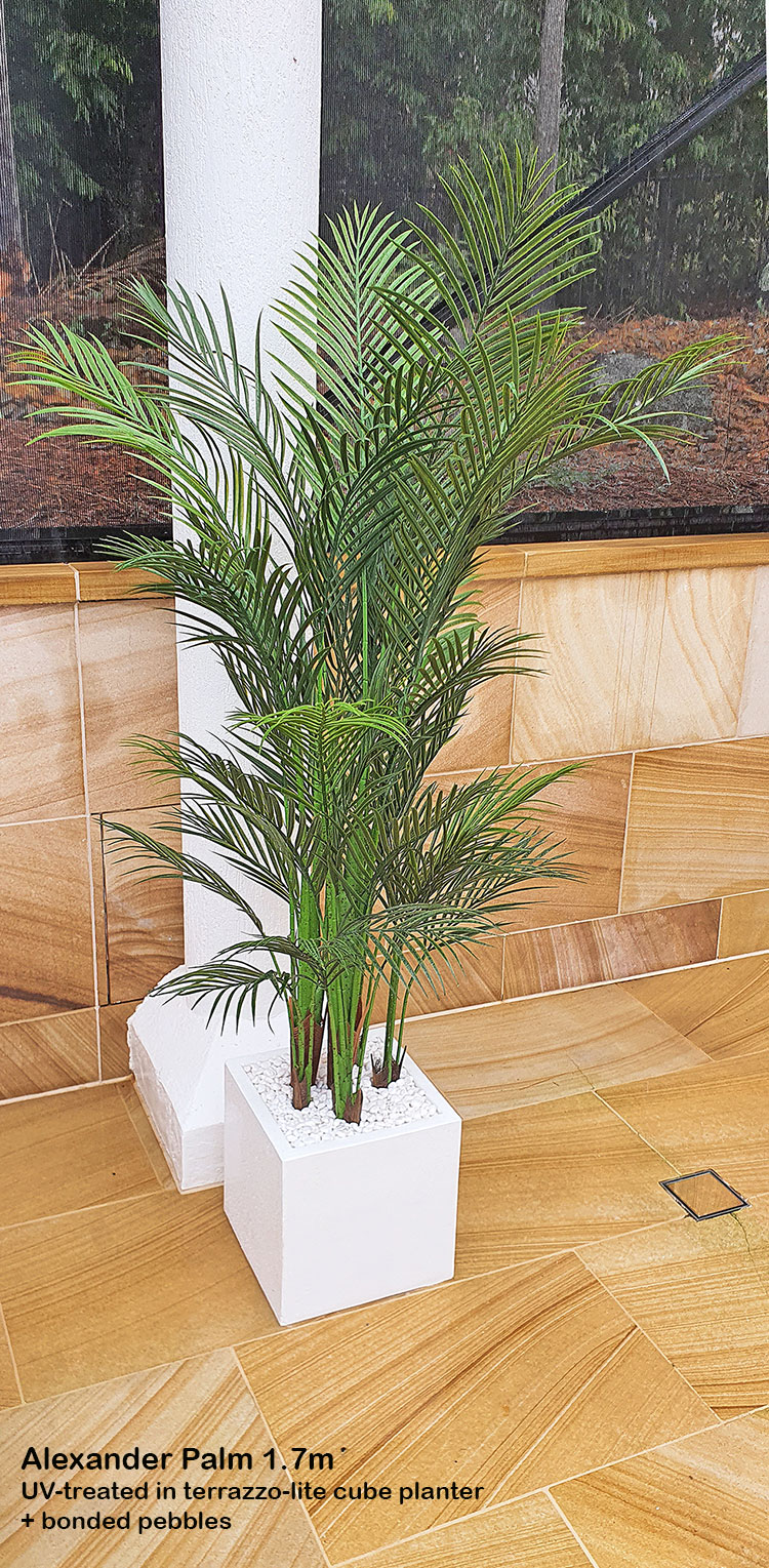Formal Topiary & Palms finish-off magnificent covered pool courtyard...