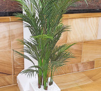 Formal Topiary & Palms finish-off magnificent covered pool courtyard...
