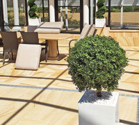 Formal Topiary & Palms finish-off magnificent covered pool courtyard...