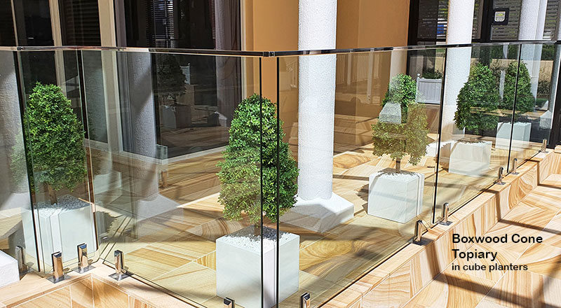 Formal Topiary & Palms finish-off magnificent covered pool courtyard...