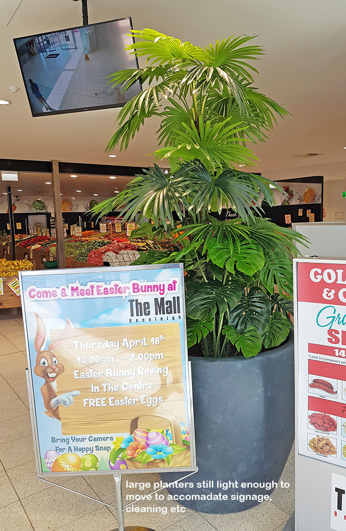Large Palm Planters, perfect for Shopping Malls...