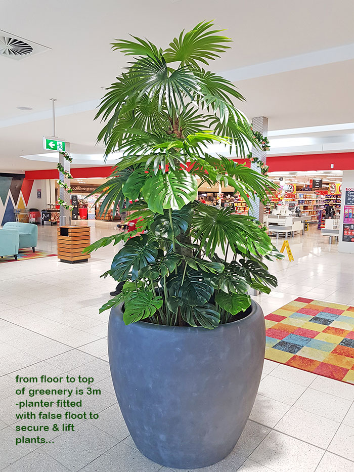Large Palm Planters, perfect for Shopping Malls...